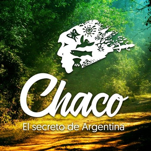 Chaco es universo, naturaleza, culturas 🪐🌳🐾🙌 
Animate a redescubrirlo.
👉 Conocé a nuestros anfitriones locales en https://t.co/A4vnZl6OM4