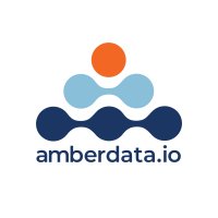 Amberdata(@Amberdataio) 's Twitter Profile Photo