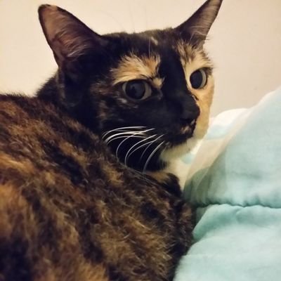 farhaaaahhhhhhh's profile picture. Away. Not coming back.