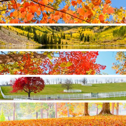 Escorted Fall Foliage Tours is a trusted authority on Fall Foliage Travel... As specialists, we pride ourselves in knowing when, how, & why.