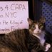 SAVE NYC HOMELESS ANIMALS (@nycsave) Twitter profile photo SAVE NYC HOMELESS ANIMALS (@nycsave) Twitter profile photo