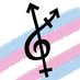 Yorkshire Trans Choir (@yrkstranschoir) Twitter profile photo