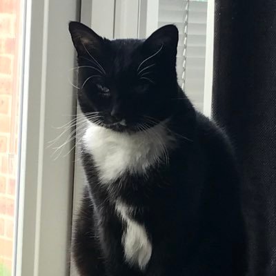 KyleK009's profile picture. Hi