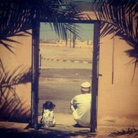 بلقيس (@b9a8a0) 's Twitter Profile