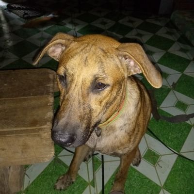 Gram02396229's profile picture. sleep sleeeep sleeeeeep