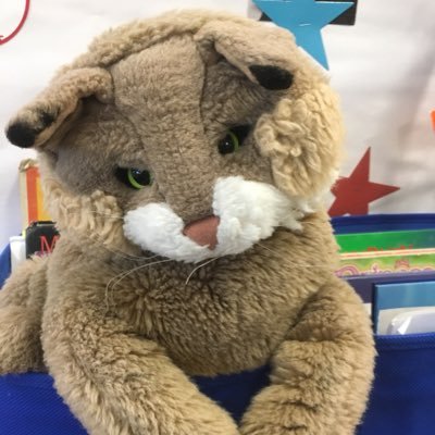 BancroftBobcats Profile Picture