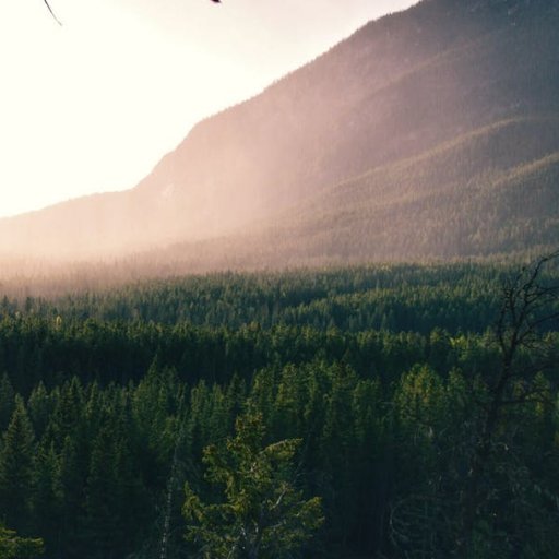 Cryptololland's profile picture. #followback