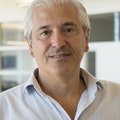 PhD in @Econatillinois Economista Macro Regional @LiDmaimo Prof. @illinoisiMBA @economicas_UNLP @UDESA @FCE_UnivAustral @SocArgeEconRegional, ex@ResearchBCRA.