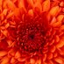 Navaneeth (@krishna55920875) Twitter profile photo Navaneeth (@krishna55920875) Twitter profile photo