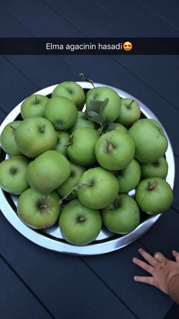 Gulsum24731378's profile picture. 