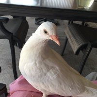 celemedonte (@celemedonte1) 's Twitter Profile