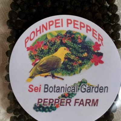 世界最高峰のポンペイペッパー！農薬、化学肥料は使用していません。Pohnpei pepper is the best peppers in the world. they have a vibrant, clean taste, sweet. very delicious !