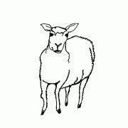 yamasaki_kaoru's profile picture. 絵とかデザインしてます。東京ときどき鹿児島。