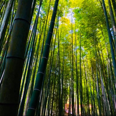 hijLdap4gtyqdFz's profile picture. 演劇部の1年6組mskt生の頭良くないほうです笑笑                                                       友達第1主義