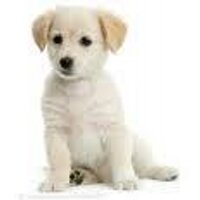 Tom Brighton (@tom772355) 's Twitter Profile