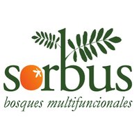 Sorbus Bosques Multifuncionales(@SorbusBosques) 's Twitter Profile Photo