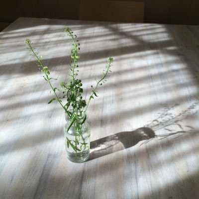 chisakoim's profile picture. ブックデザインを中心に活動しています。ツイート少な目ですが お仕事などご連絡いつでもchisakoim@gmail.com