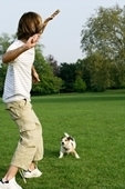 is your dog well trained?