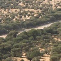 عدم (@m7md493) Twitter profile photo