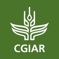 Grain Legumes and Dryland Cereals (GLDC) (@gldc_cgiar) 's Twitter Profile