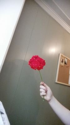 Nohope95379414's profile picture. Depressed, anxiety ridden female suffering from heartache and stomach cramps. Send me your sad limericks and I will retweet them.