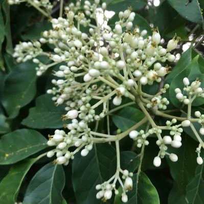 tiffallibob3's profile picture. 3 kids crazy but happy