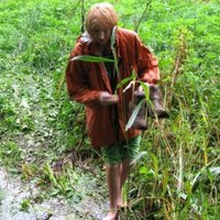 Paul71 (@paul71) 's Twitter Profile