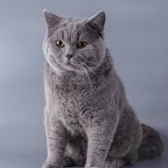 Less lovely but still happy.