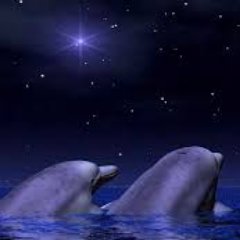 pnietoseguros's profile picture. Seguro de sus gustos