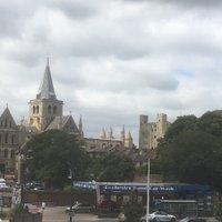saverochester (@saverochester) 's Twitter Profile
