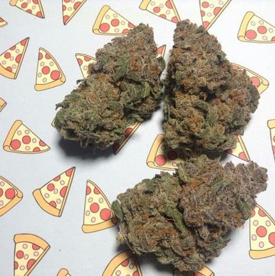 Best Weed Photos & Videos 🎥
Jokes Are Always Legal 😁😁
🔥New Post Every Day 👌👌👌
Ship To All The 50 States 🚢
DM for CONTACT/BUSINESS/PROMOTION🎁