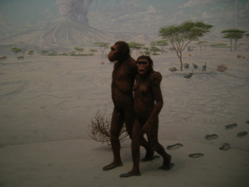 108stones's profile picture. マイペースに、なんかコレいいな、的なヒト・モノ・コトを紹介しています