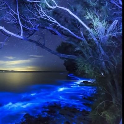 elitePurge's profile picture. 