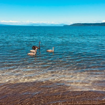 bumps_and's profile picture. Please read my blog and story about the adventures and turbulence of my (well our) ivf journey 👨‍👩‍👧🐣🤪🤩🤬🧜‍♀️🤰🤱💃🧚‍♀️💑👫🙈🍭🍼
