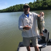 Fnugy (@fnugy1) 's Twitter Profile
