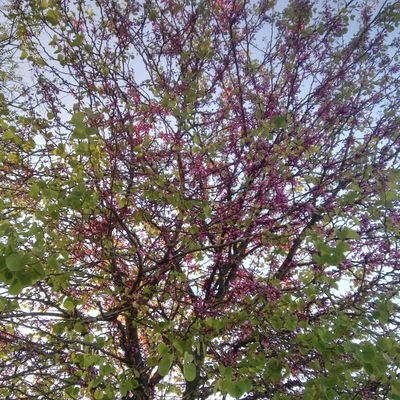 Manoli84740613's profile picture. 