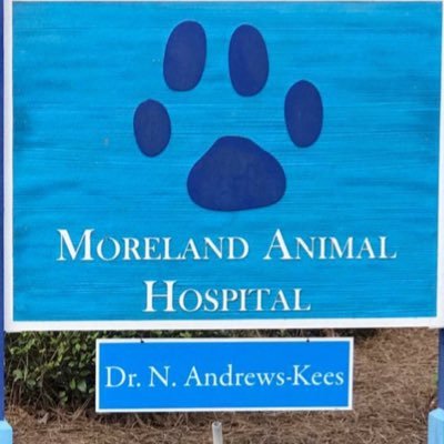 Nicole Andrews Kees, DVM & staff -Moreland Animal Hospital