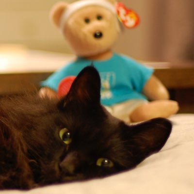 rogionm's profile picture. I LOVE ROGER FEDERER! 源くん大好き！カッコよくて可愛いロジャー・フェデラー、可愛くて時々ふとエロカッコいい星野源くんを日々ネットで追っかけてます。共通は可愛いらしさと真剣勝負の時に滲み出るエロさなんです！💞長男猫が天国へ旅立ち、今は次男猫と同居ちう。源くん垢 @namagenki