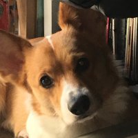 ルーちゃんママ (@tu_qwl) 's Twitter Profile Photo ルーちゃんママ (@tu_qwl) 's Twitter Profile Photo