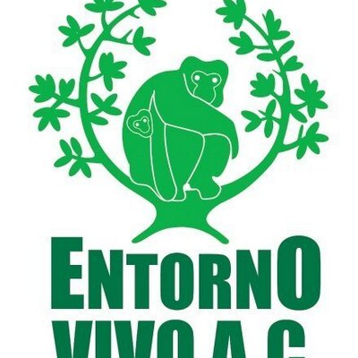 Entorno Vivo AC (@entornovivo) | Twitter