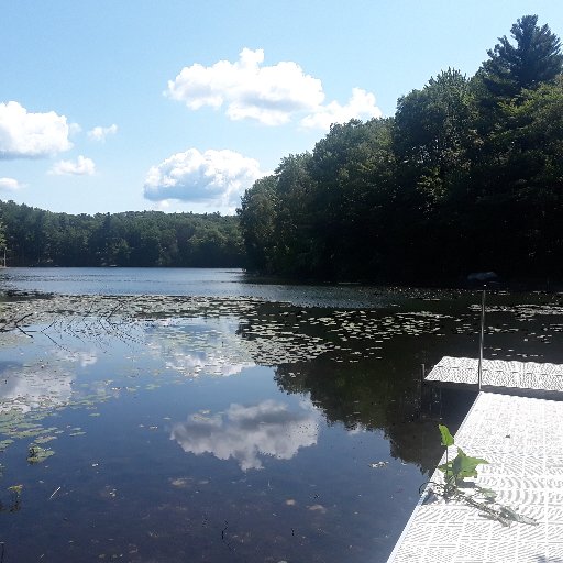 tcfleetrunner's profile picture. Bradley Horyczun   Third Mate