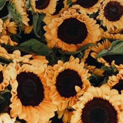 HELL0NEVRTH's profile picture. vent acc, don’t follow if you get triggered easily🤷🏻‍♀️whatever comes into my head gets tweeted