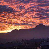mayuna8 (@mayuna83) 's Twitter Profile
