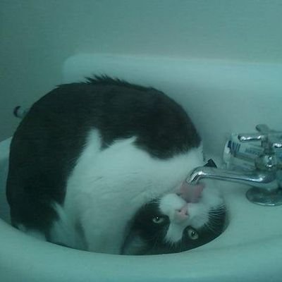 guv2000's profile picture. Bu memleket tarihte Türk'tü, hâlde Türk'tür ve ebediyen Türk olarak yaşayacaktır!