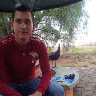 Soy el que soy tu príncipe el de la dulce pena