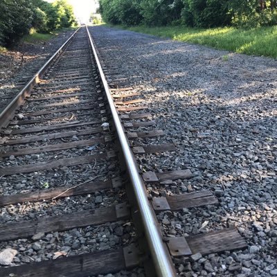 SydneyHancock28's profile picture. following everyone who follows me now so you should follow me ☺️