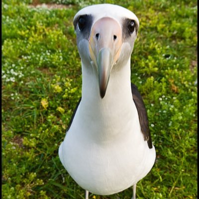 thomasbryant14's profile picture. Invisible man, music student, and grateful.