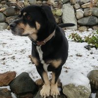 LindseyduTweet (@lindseydutweet) 's Twitter Profile