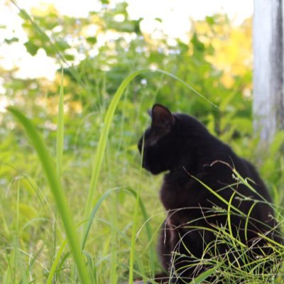 zhu4_he's profile picture. 写真勉強中です  夢があって将来海外いきます