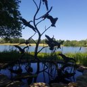 Liz Flowers - @lililizcastro - Twitter